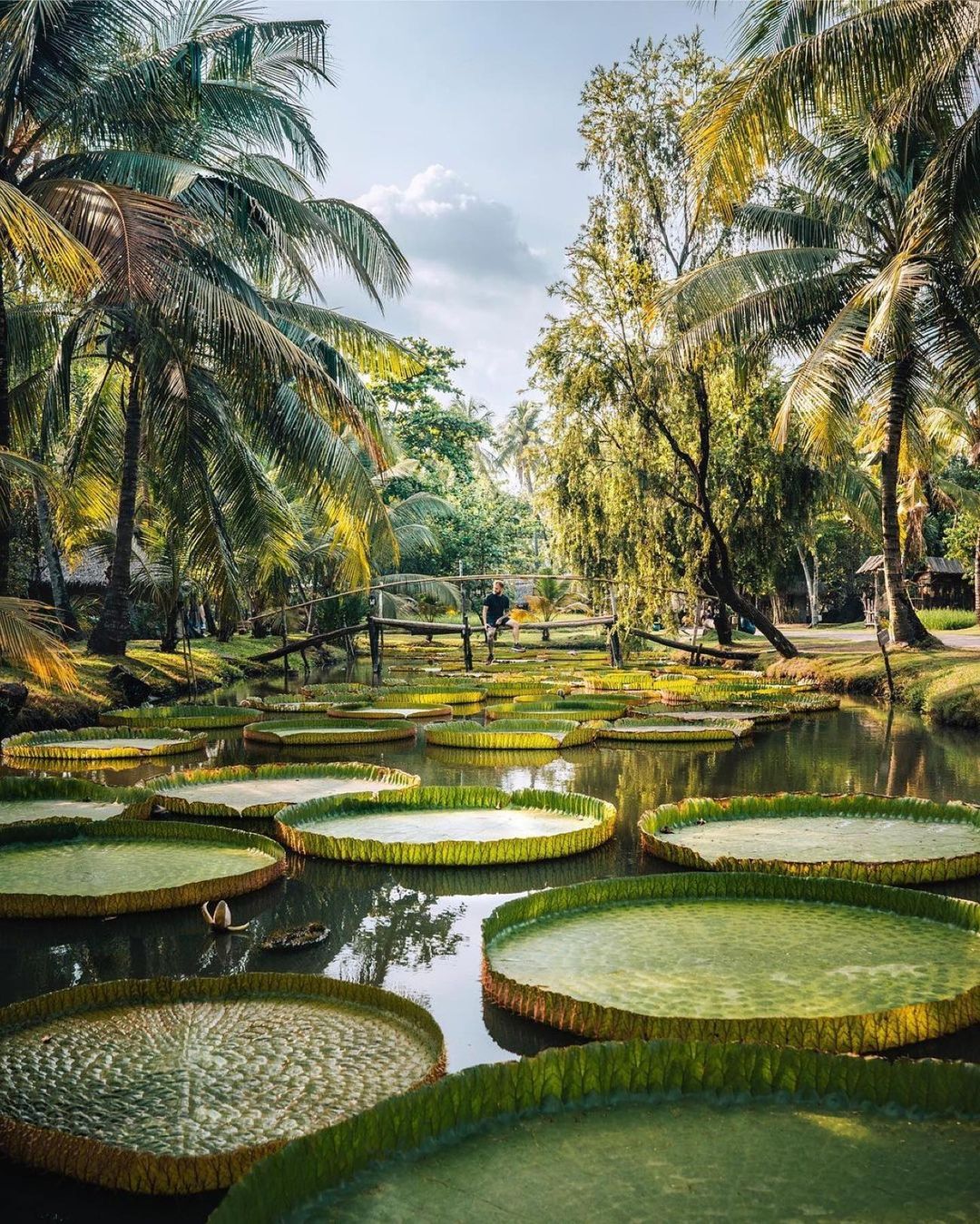 Sài gòn có gì thú vị