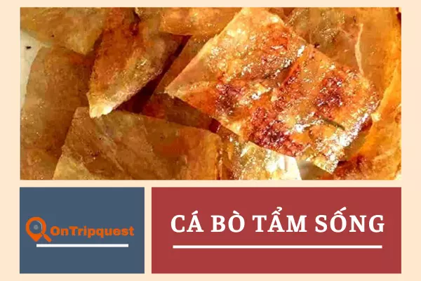 Cá bò tẩm sống